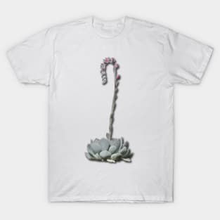 Simple Succulent T-Shirt